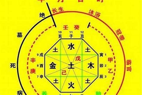 免費算五行喜用神|八字喜用神查詢